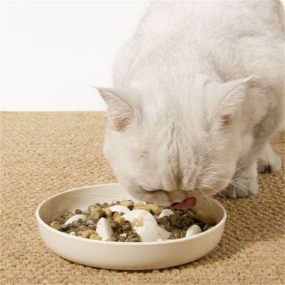 IntiMeg Bol d'alimentation ralentie pour Chats et chiens