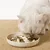 IntiMeg Bol d'alimentation ralentie pour Chats et chiens