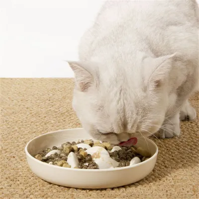 IntiMeg Bol d'alimentation ralentie pour Chats et chiens