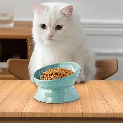 Gamelle surélevée pour chat