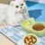 Gamelle anti-étouffement pour alimentation lente, gamelle double pour chat