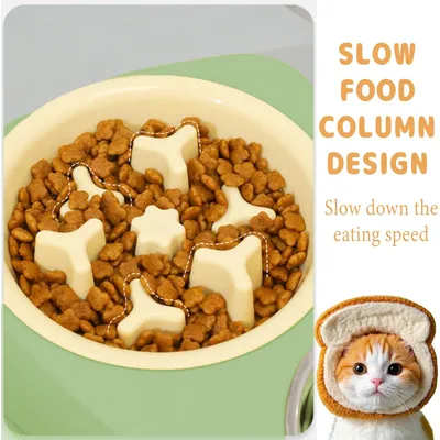 Gamelle anti-étouffement pour alimentation lente, gamelle double pour chat