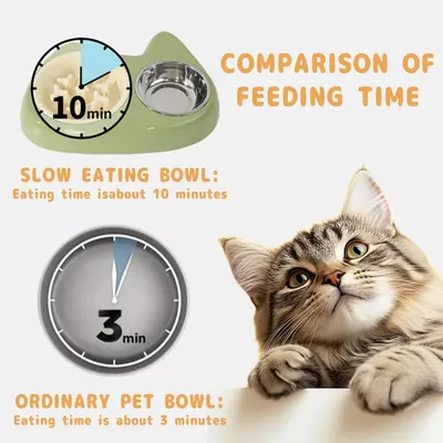 Gamelle anti-étouffement pour alimentation lente, gamelle double pour chat