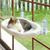 IntiMeg Havre pour chat sans corde pour fenêtre