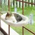 IntiMeg Havre pour chat sans corde pour fenêtre