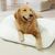 IntiMeg Tapis de sommeil pour Chiens et chats