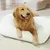 IntiMeg Tapis de sommeil pour Chiens et chats IntiMeg Tapis de sommeil pour Chiens et chats