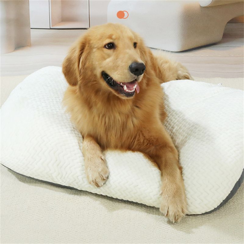 IntiMeg Tapis de sommeil pour Chiens et chats