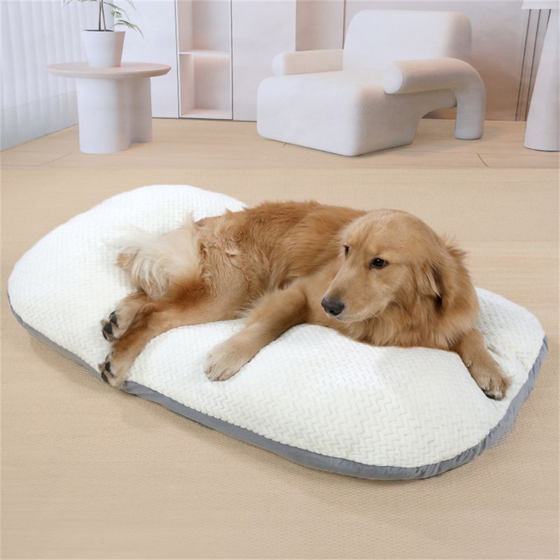 IntiMeg Tapis de sommeil pour Chiens et chats