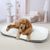 IntiMeg Tapis de sommeil pour Chiens et chats