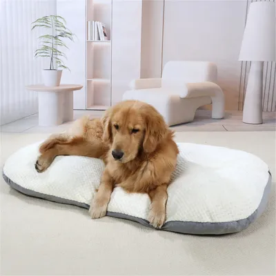 IntiMeg Tapis de sommeil pour Chiens et chats IntiMeg Tapis de sommeil pour Chiens et chats