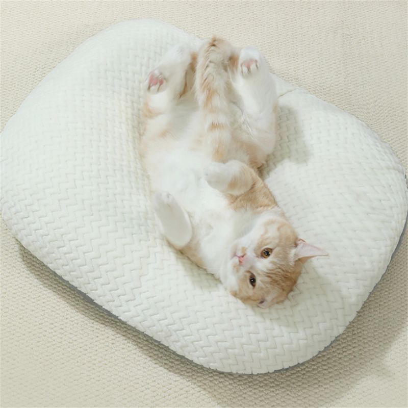 IntiMeg Tapis de sommeil pour Chiens et chats