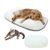 IntiMeg Tapis de sommeil pour Chiens et chats