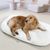 IntiMeg Tapis de sommeil pour Chiens et chats