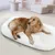 IntiMeg Tapis de sommeil pour Chiens et chats IntiMeg Tapis de sommeil pour Chiens et chats