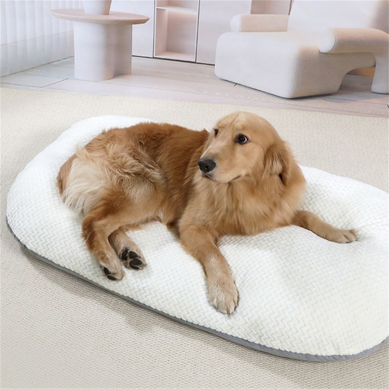 IntiMeg Tapis de sommeil pour Chiens et chats