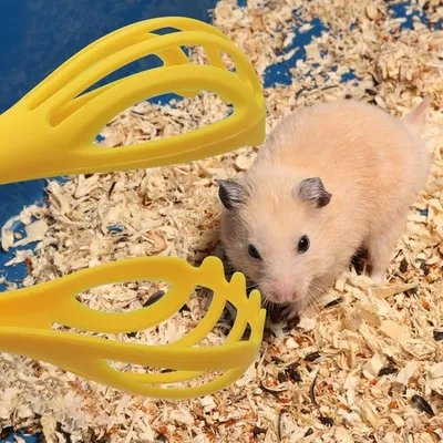 ZooVenture Pince anti - morsure pour hamster