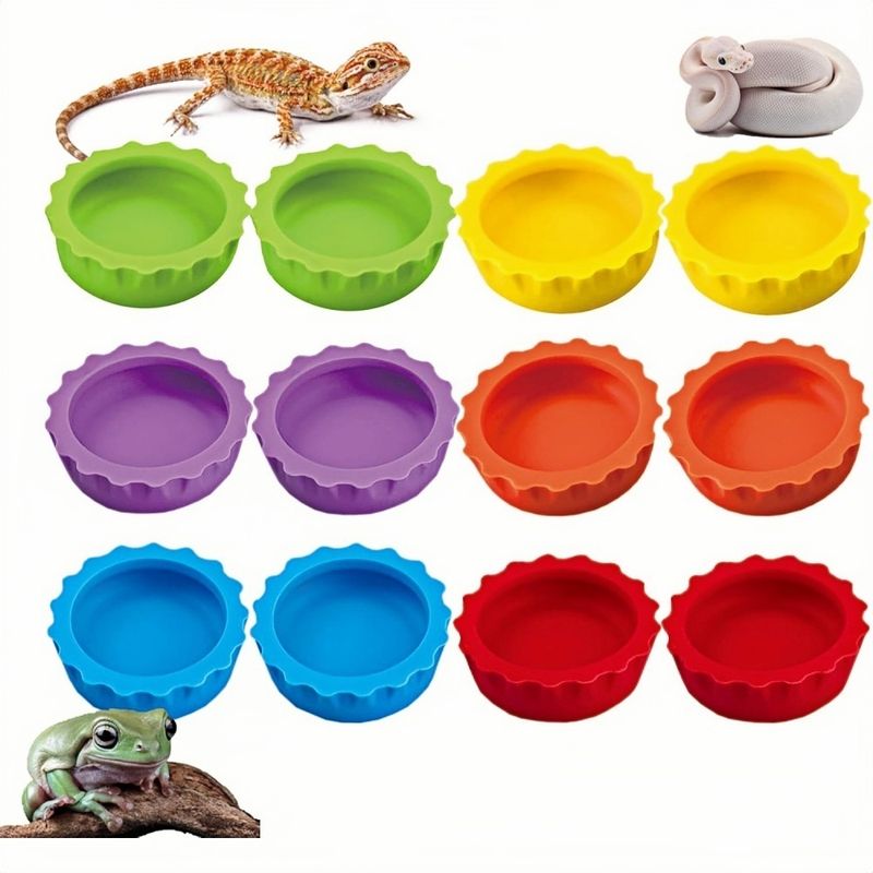 ZooVenture Lot de 6 bols colorés pour nourriture et eau pour petits animaux