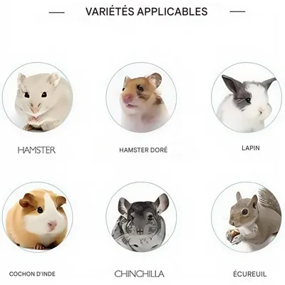 ZooVenture Assiettes en céramique pour petits animaux