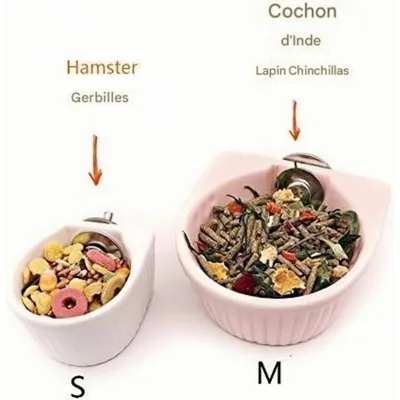 ZooVenture Assiettes en céramique pour petits animaux