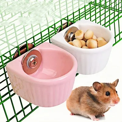 ZooVenture Assiettes en céramique pour petits animaux