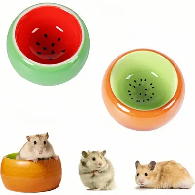 ZooVenture Juego de cuencos de cerámica para animales pequeños