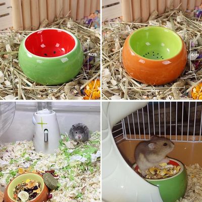 ZooVenture Juego de cuencos de cerámica para animales pequeños