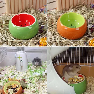ZooVenture Juego de cuencos de cerámica para animales pequeños