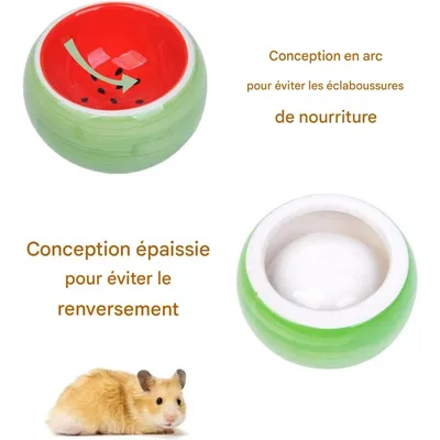 ZooVenture Juego de cuencos de cerámica para animales pequeños