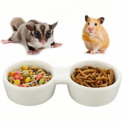 ZooVenture Cuencos dobles de cerámica para animales pequeños