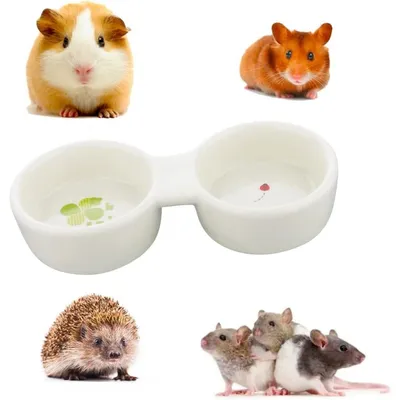ZooVenture Cuencos dobles de cerámica para animales pequeños