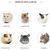 ZooVenture Assiettes en céramique pour petits animaux