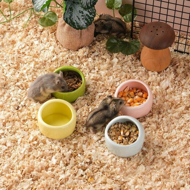 ZooVenture Lot de bols en céramique pour petits animaux
