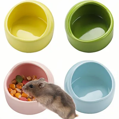 ZooVenture Lot de bols en céramique pour petits animaux ZooVenture Lot de bols en céramique pour petits animaux