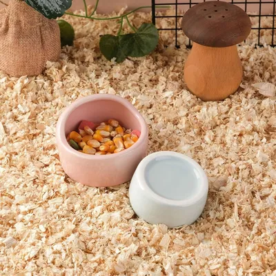 ZooVenture Lot de bols en céramique pour petits animaux