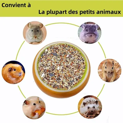 ZooVenture Lot de gamelles en céramique pour petits animaux