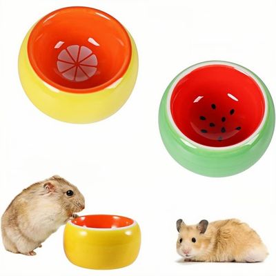 ZooVenture Lot de gamelles en céramique pour petits animaux