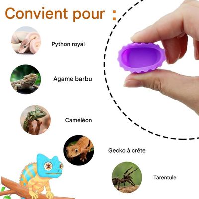 ZooVenture Lot de 6 bols colorés pour nourriture et eau pour petits animaux