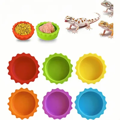 ZooVenture Lot de 6 bols colorés pour nourriture et eau pour petits animaux