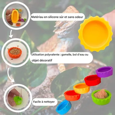 ZooVenture Juego de 6 cuencos coloridos para comida agua animales pequeños