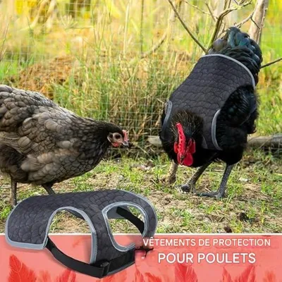 ZooVenture Schutzsattel für Hühner
