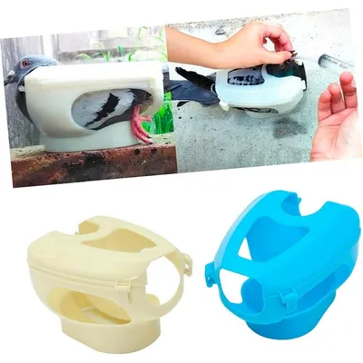 ZooVenture Support fixe pour pigeons et oiseaux ZooVenture Support fixe pour pigeons et oiseaux