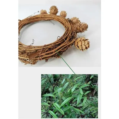 ZooVenture Nichoir pour oiseaux