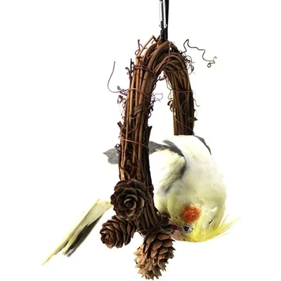 ZooVenture Nichoir pour oiseaux