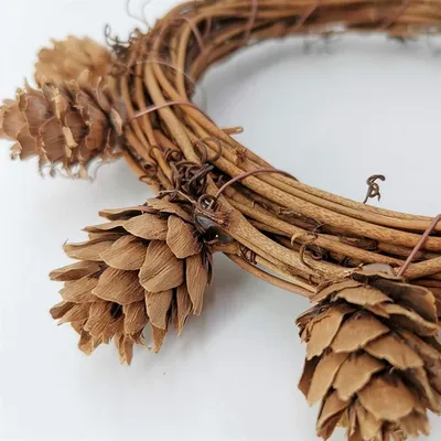 ZooVenture Nichoir pour oiseaux