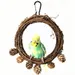 ZooVenture Nichoir pour oiseaux