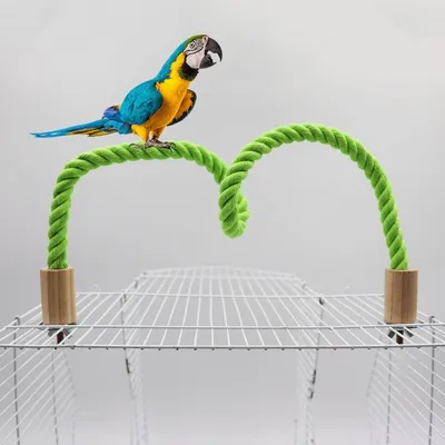 ZooVenture Corde d'escalade en coton pour oiseaux