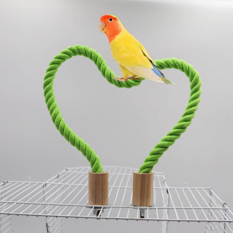 ZooVenture Corde d'escalade en coton pour oiseaux