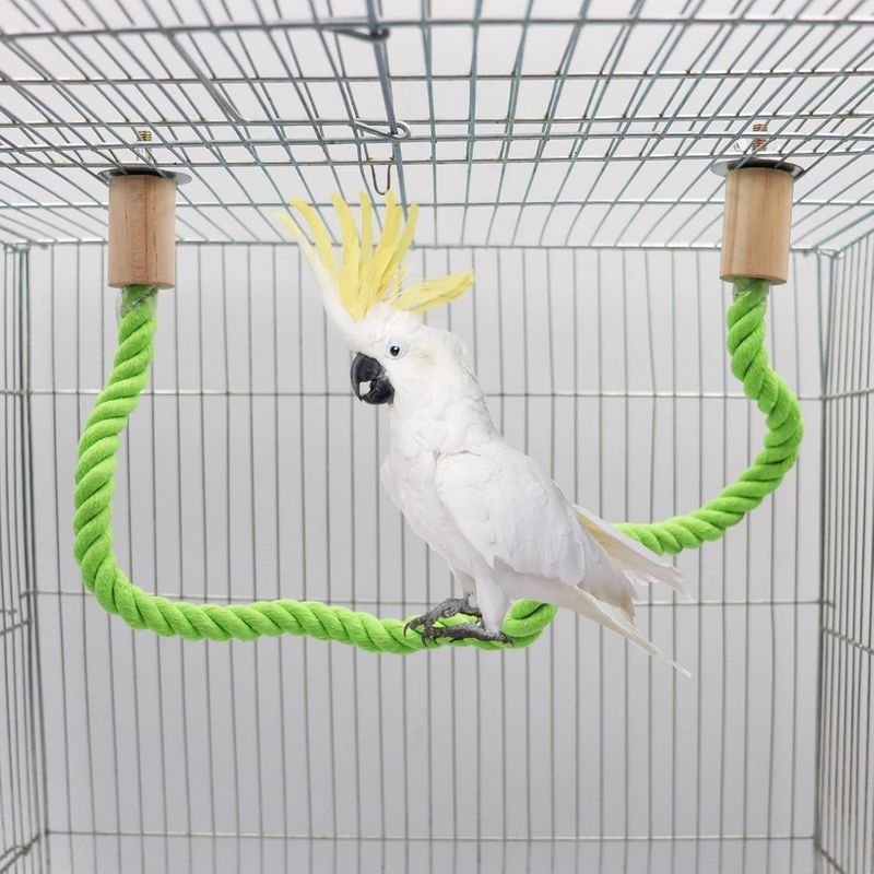 ZooVenture Corde d'escalade en coton pour oiseaux