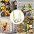 ZooVenture Jouets pour perroquets et oiseaux Divers